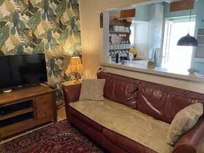 Smart TV, fireplace, DVD player, books