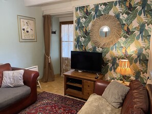 Una Smart TV, una chimenea, un reproductor de DVD, libros