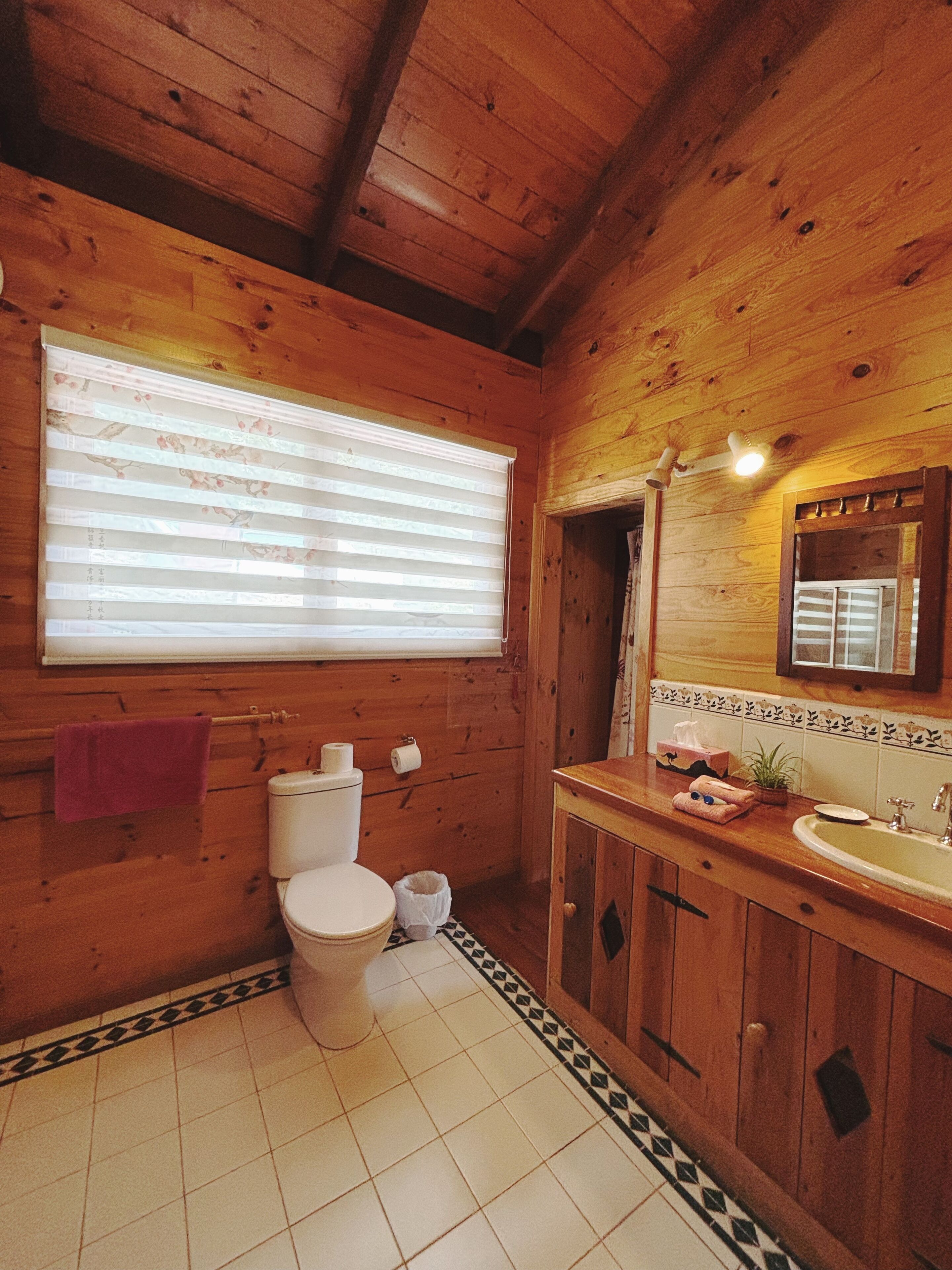 Un baño rústico con tocador de madera, inodoro y espejo.