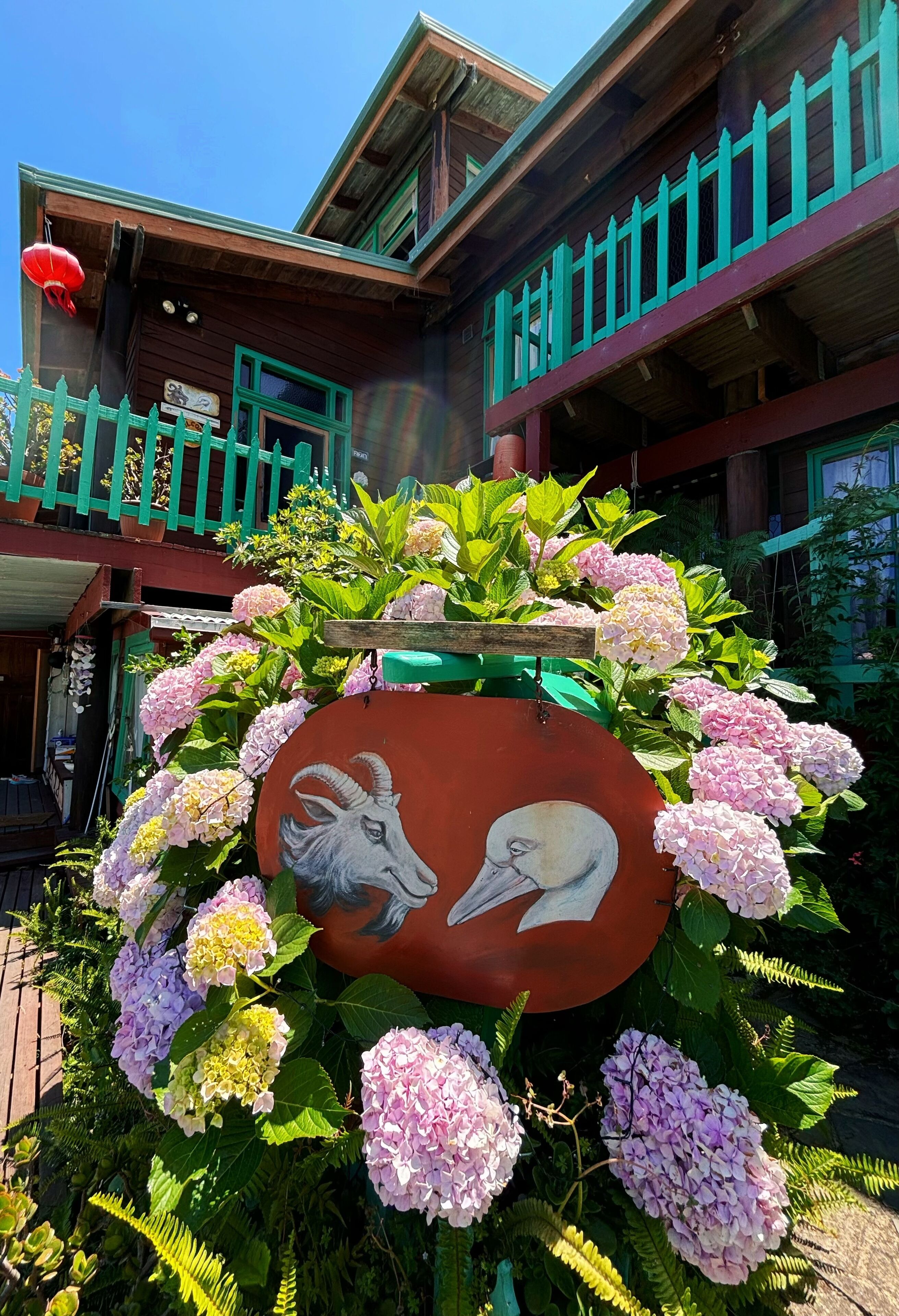A building with a wooden facade, green railings, and a sign with a ram and goose design surrounded by hydrangea flowers.