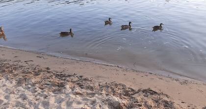 Quinta das rĂŁs- Orange house