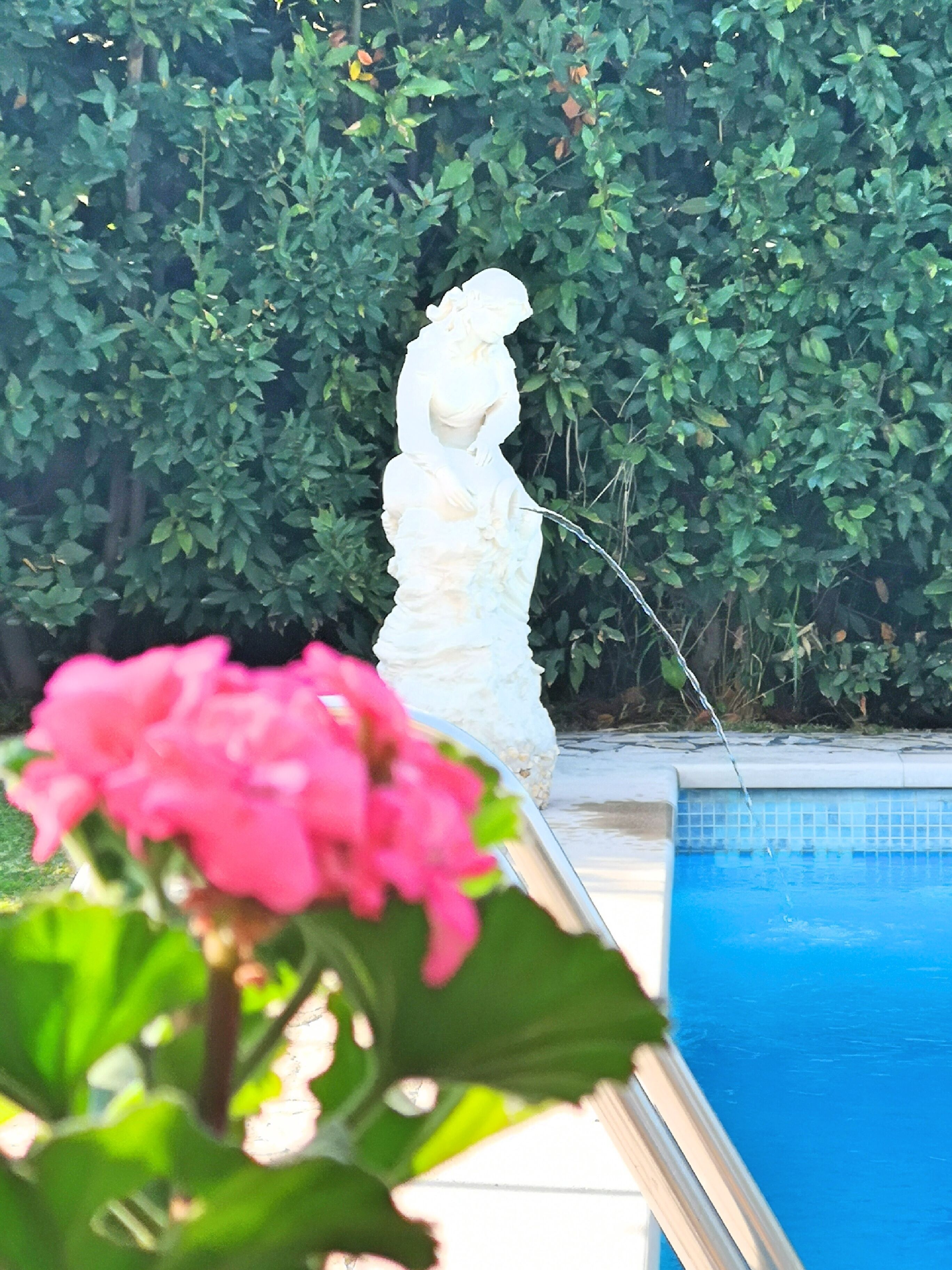 A statue by a poolside with a hedge in the background.