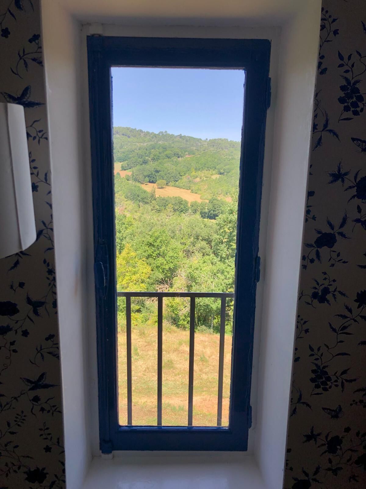 Ein Fenster mit Blick auf eine grüne Landschaft.