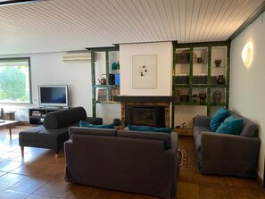 Televisión, chimenea y tenis de mesa 