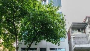 Uklassifisert bilde, 3 av 71, knapp