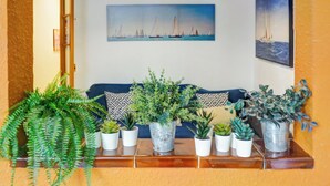 A living room with a wooden coffee table, a blue sofa, and a variety of potted plants. - Charming Patio by Hello Homes Sitges (Sitges)