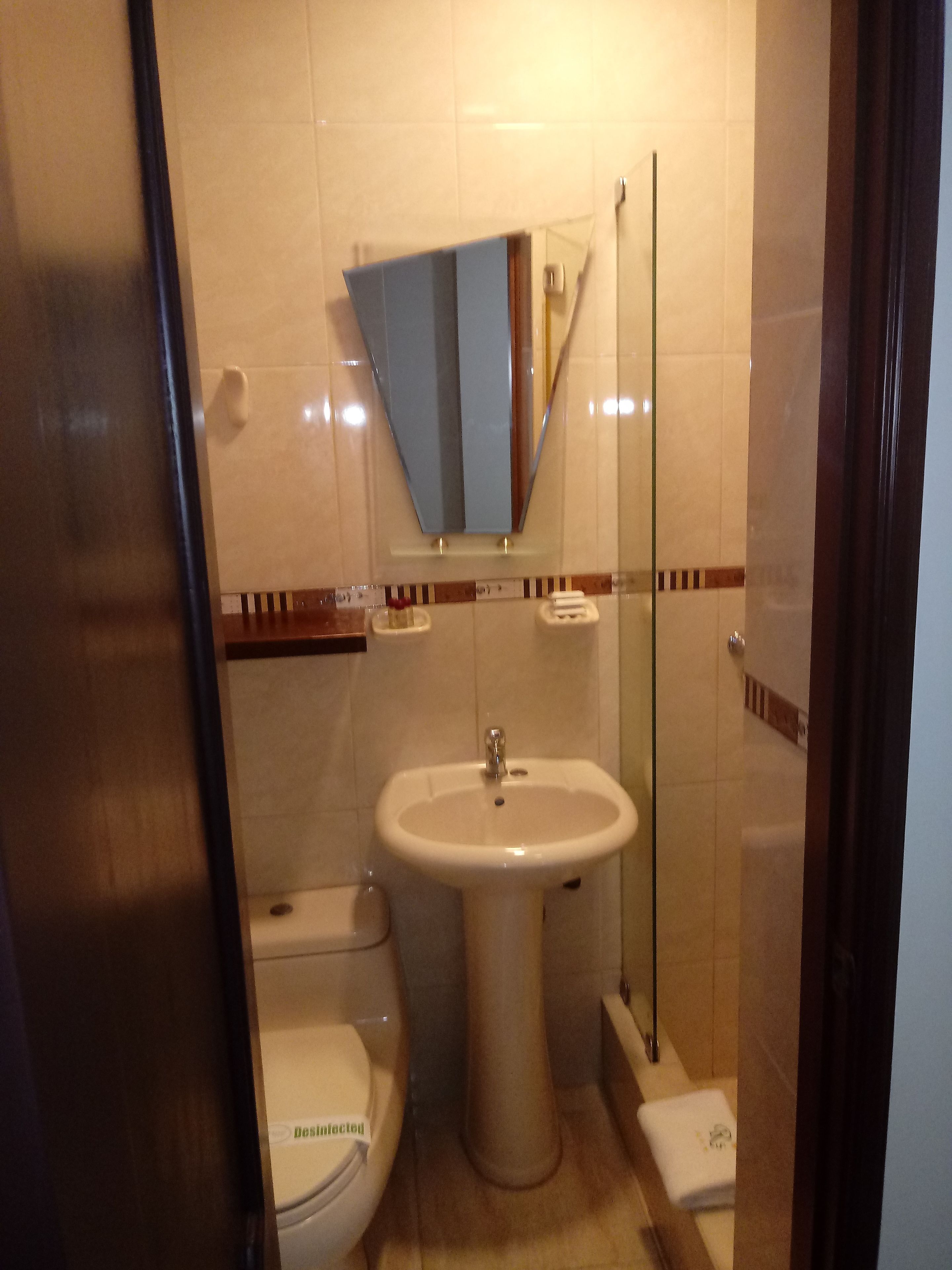 A bathroom with a sink, toilet, and a glass-enclosed shower stall.