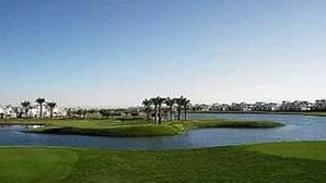 A golf course with a pond, green grass, and palm trees.