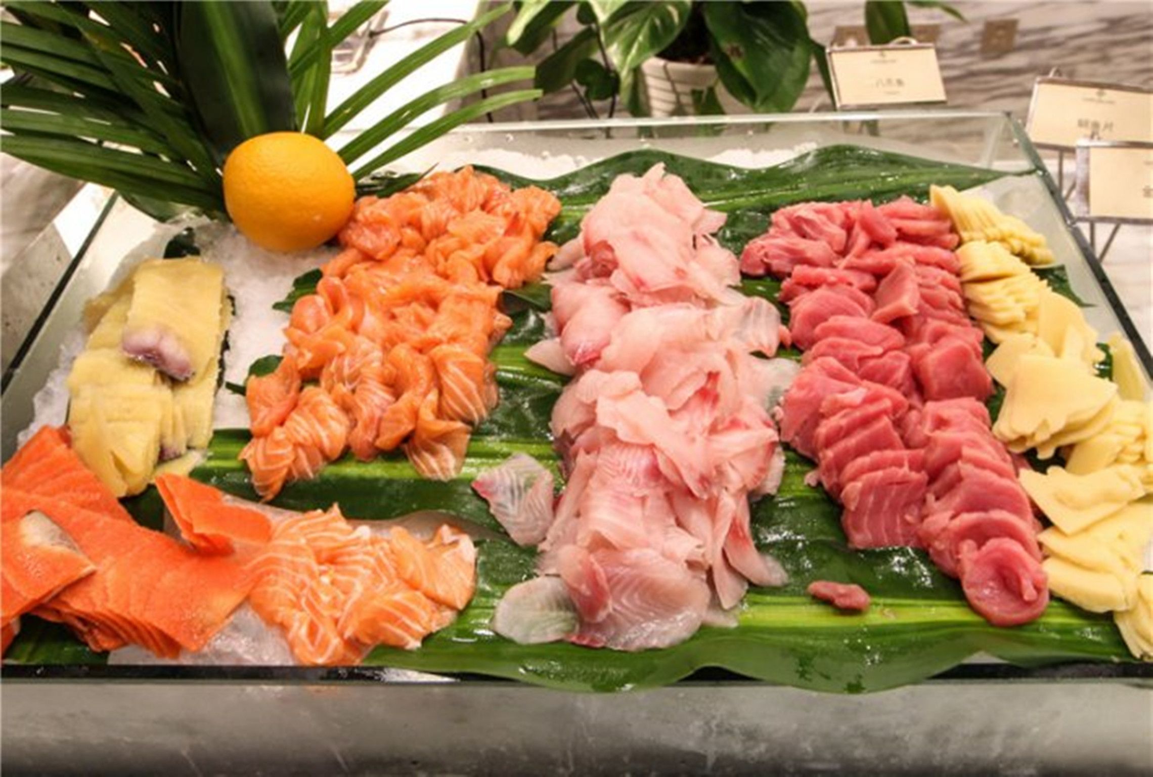 A display of various types of fish arranged on a bed of ice, with a lemon and green leaves for decoration.