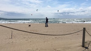 Ein Sandstrand mit einer Seilsperre, einer Person und einem Hund.