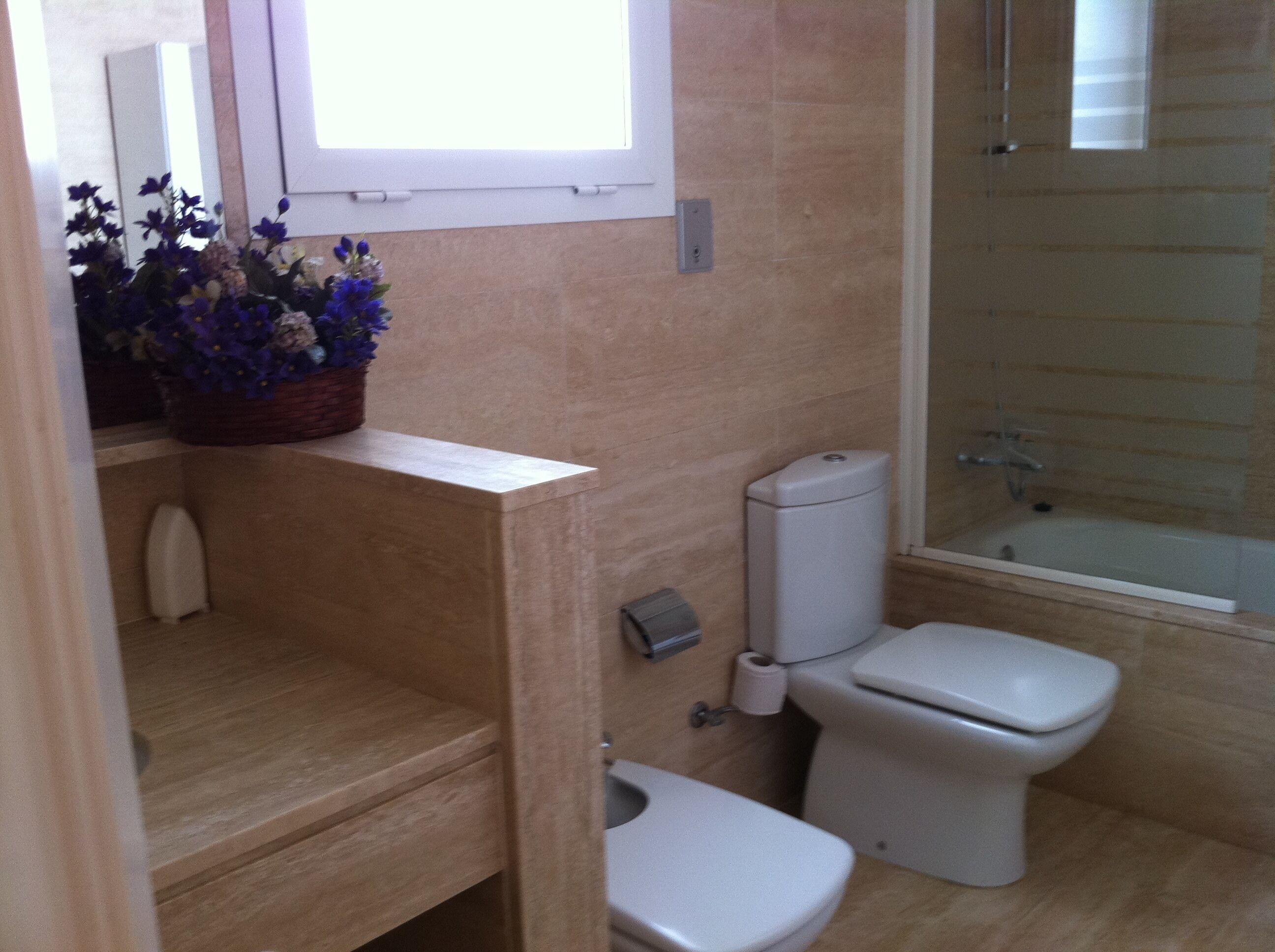 Combined shower/bathtub, hair dryer, bidet, towels
