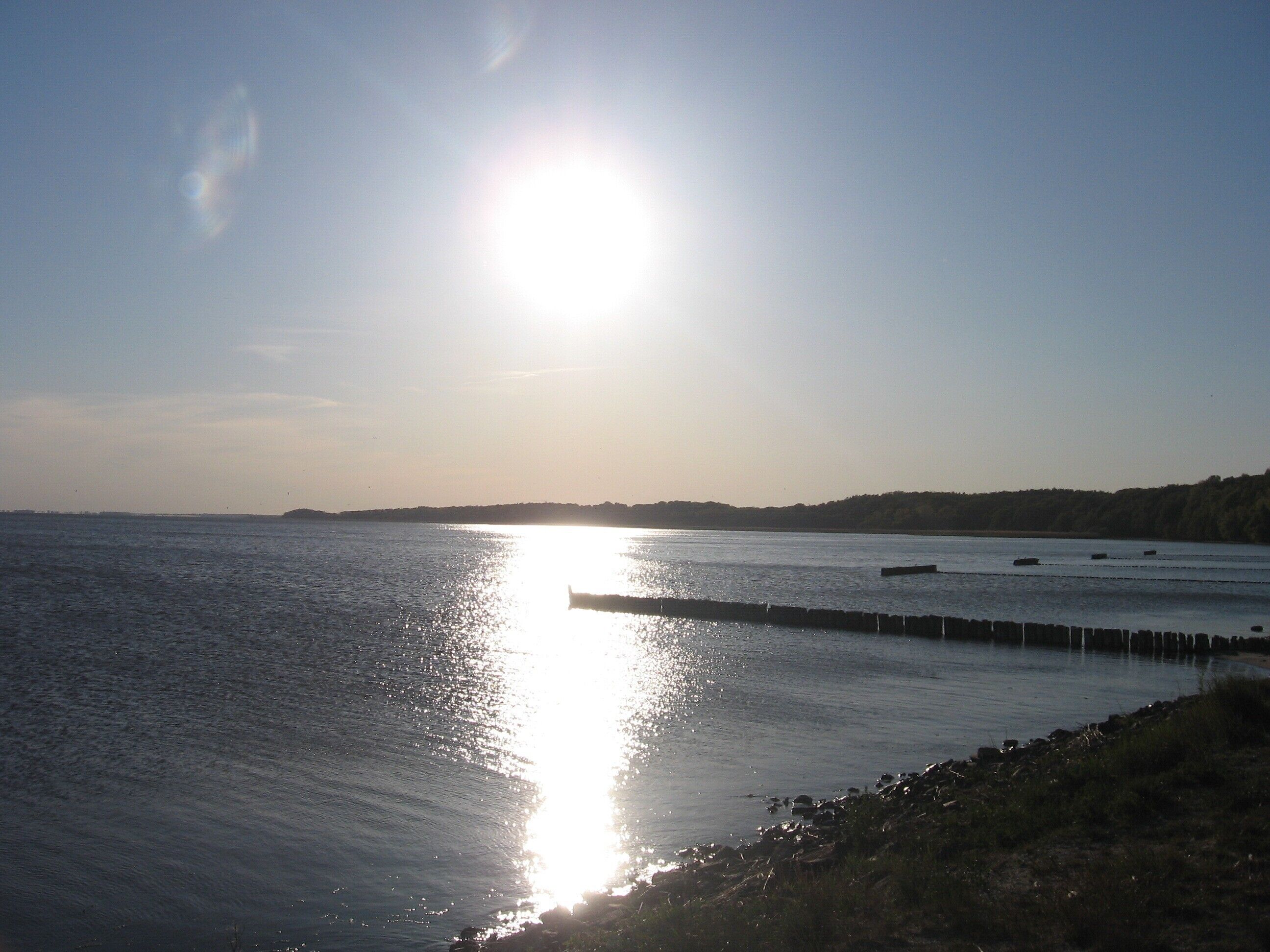 A calm body of water reflecting sunlight, with a distant shoreline and a clear sky.