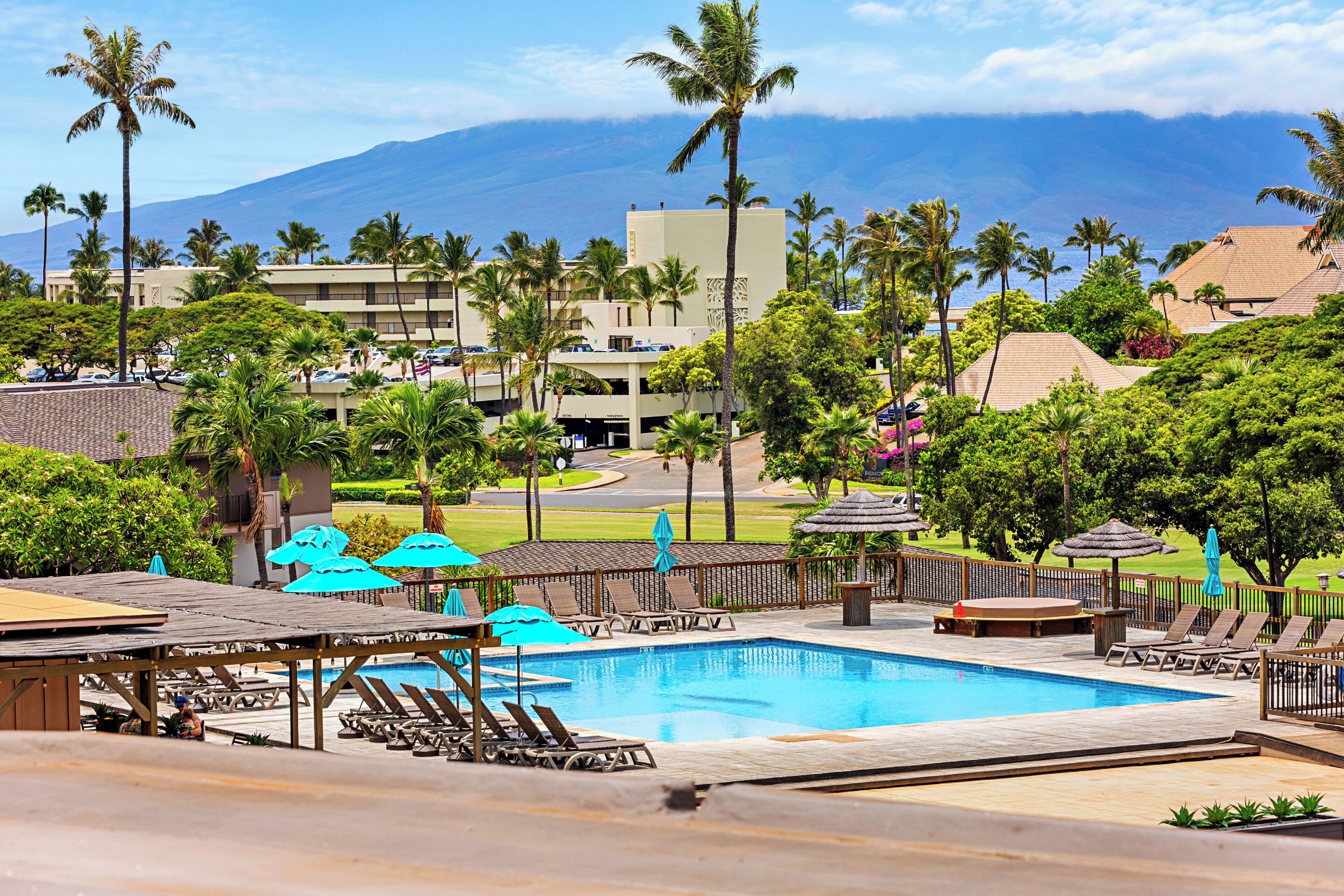 A resort pool area with lounge chairs and umbrellas, surrounded by palm trees and a view of a mountain range.