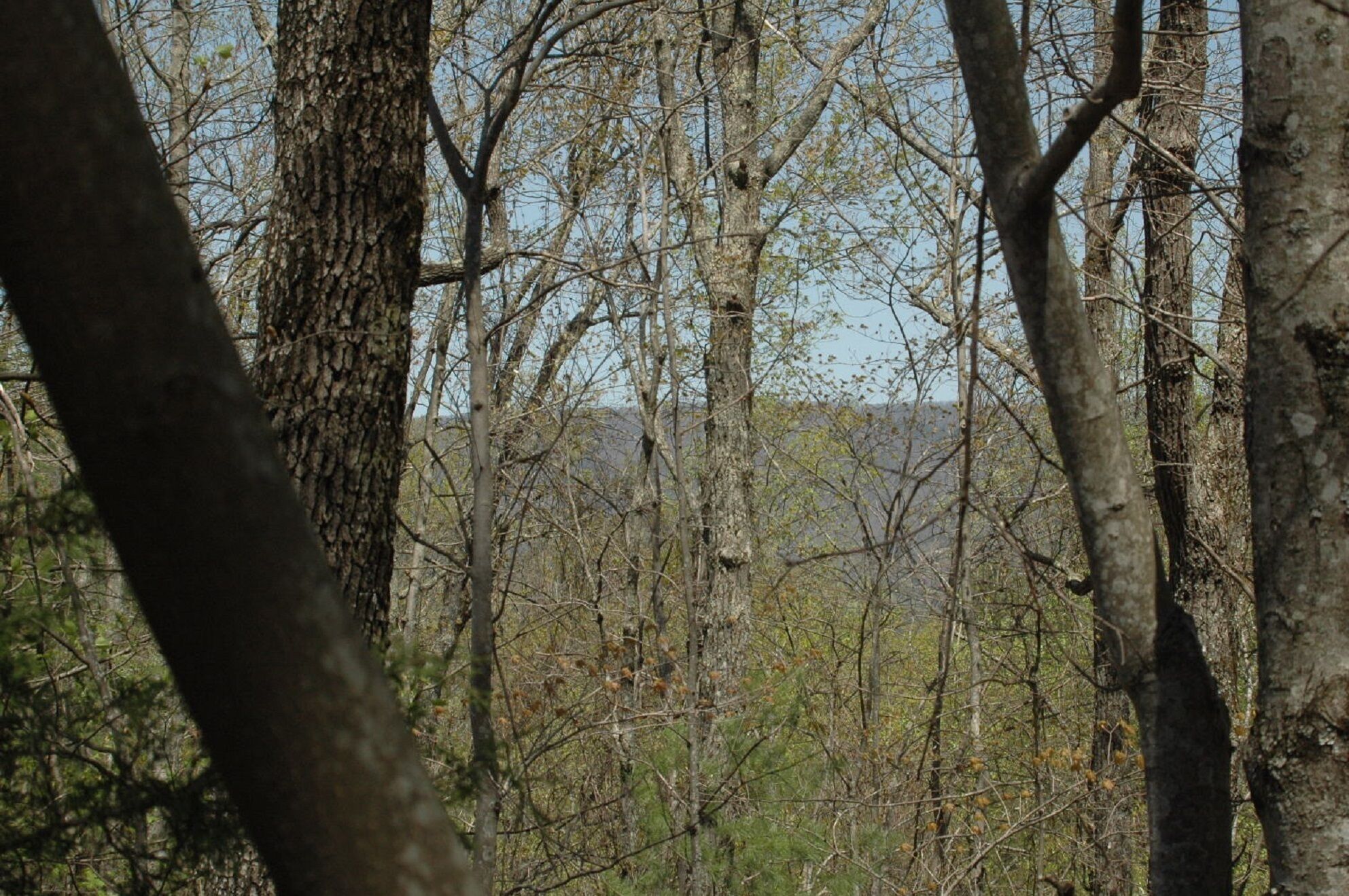 A Little Bit of Heaven. Hot tub, Pool Table, Pigeon Forge Cabin