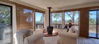 A Beautiful Tree Top Panorama-Spring Special