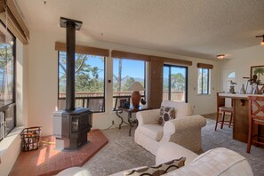 TV, fireplace, DVD player - A Beautiful Tree Top Panorama (Cambria)