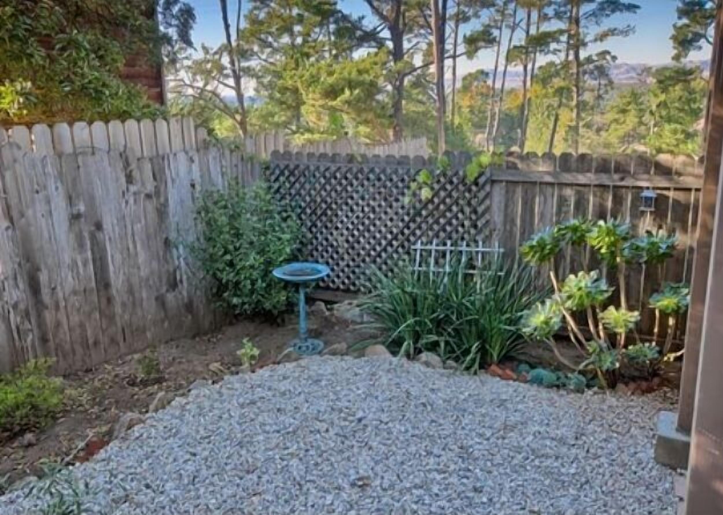 Ein Garten mit Holzzaun, Vogeltränke und verschiedenen Pflanzen.