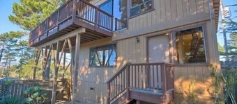 A Beautiful Tree Top Panorama