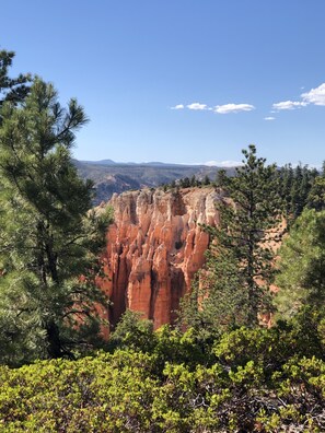 A canyon with red rock formations surrounded by green trees.