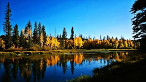 Un llac tranquil que reflecteix arbres amb fullatge d'octubre.
