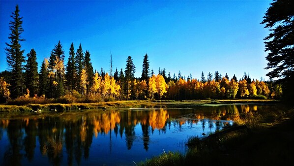 Lago