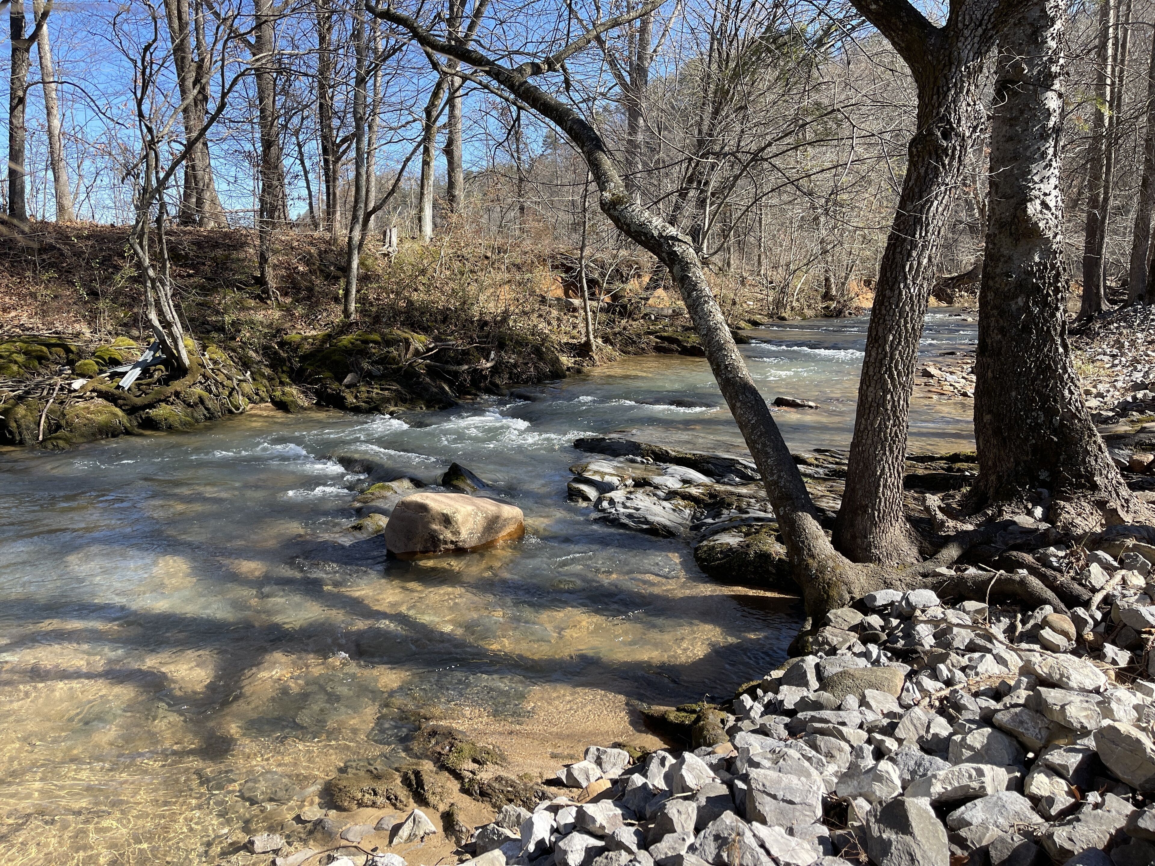 Un ruisseau aux eaux claires, bordé de rochers et d’arbres, dans une zone boisée.