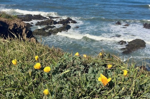 Amazing View Newly Remodeled- L2 EV Charger -Pet friendly