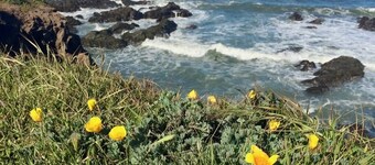 Amazing View Newly Remodeled- L2 EV Charger -Pet friendly