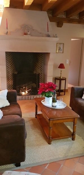 Un salón acogedor con chimenea, una mesa de centro con un florero de flores rojas y dos sillones marrones.