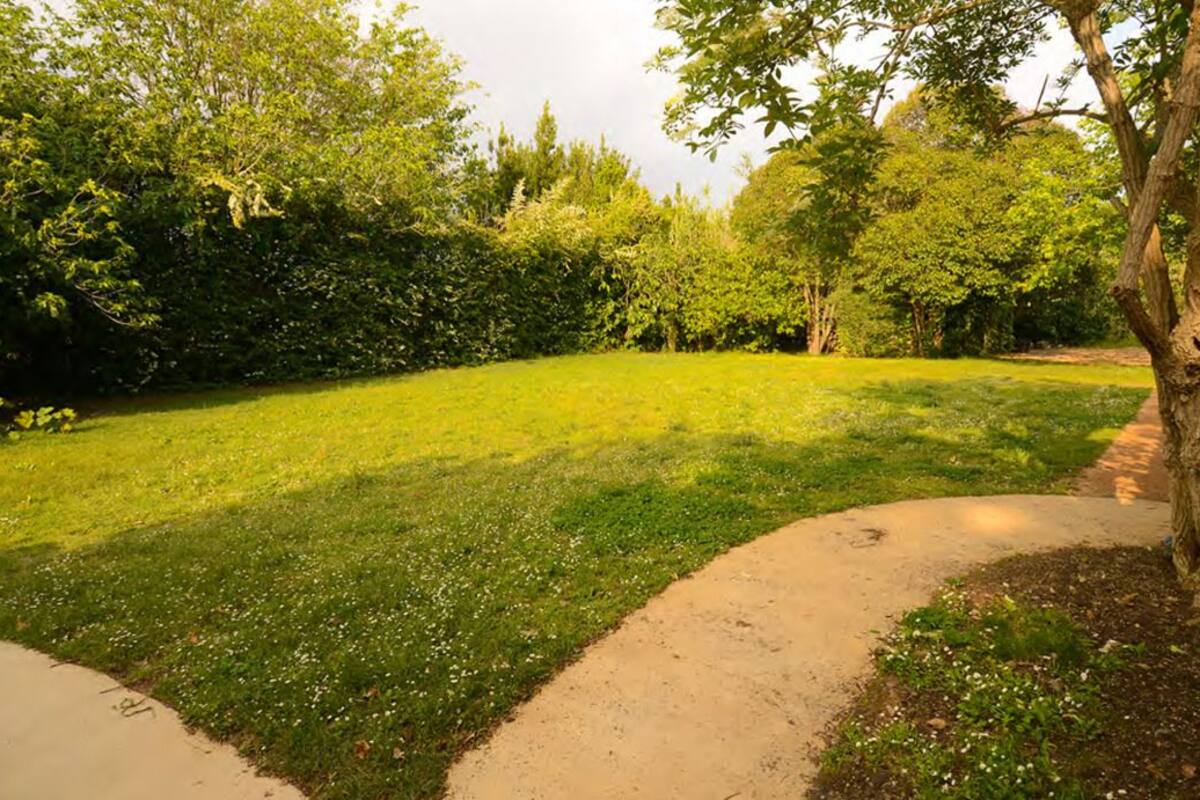 Een groen park met een onverhard pad en bomen.