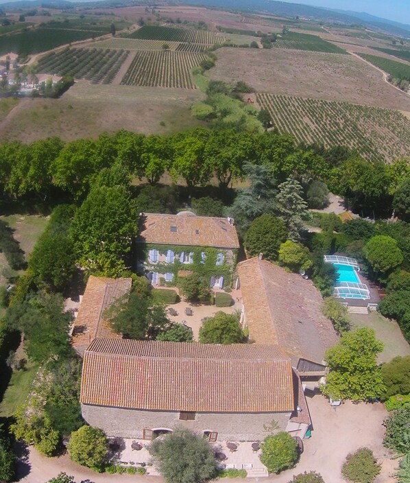 Vista aérea de um vinhedo com fileiras escalonadas de videiras.