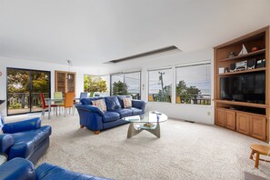 TV, fireplace, DVD player