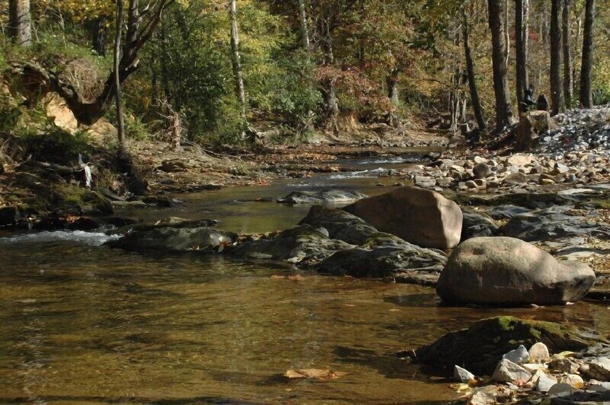 Gone Fishin Pigeon Forge Cabin, Hot Tub, Fire Pit, Creek View, Easy Access