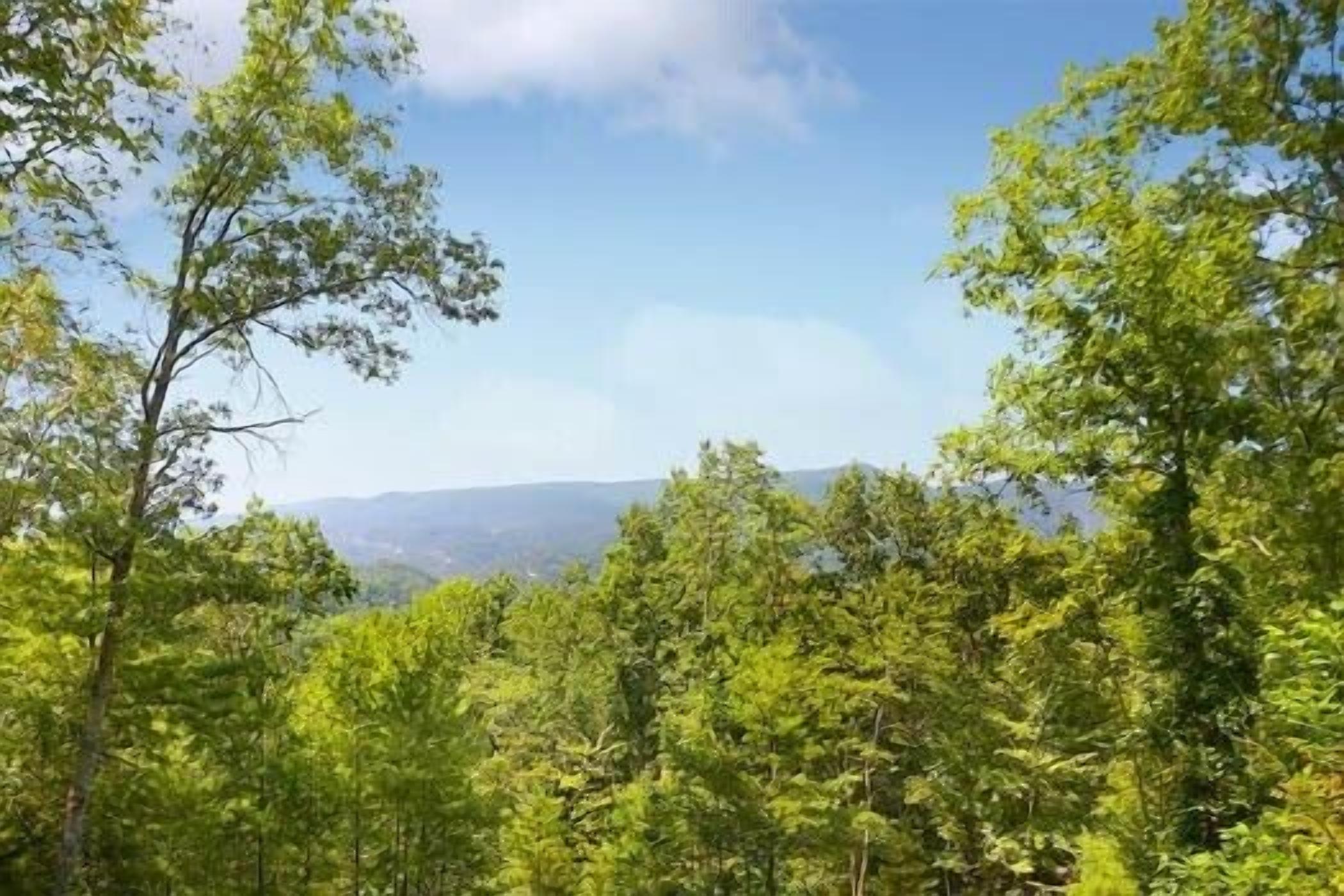 Private Pigeon Forge Log Cabin, Heart-shaped Jacuzzi tub, Mountain Honeymoon ROMANTIC Cabin