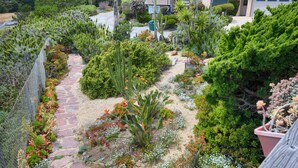 A garden with a variety of plants and a stone pathway. - A Cool House, A Cool View (Cambria)
