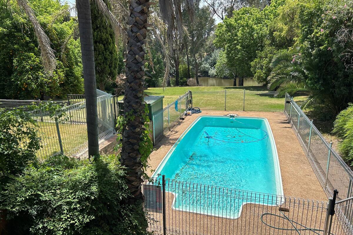 A rectangular swimming pool surrounded by a metal fence, with a grassy area and trees in the background.