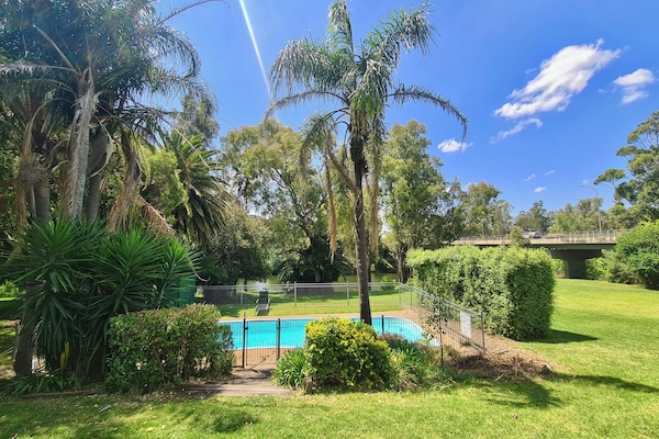Outdoor pool, pool loungers