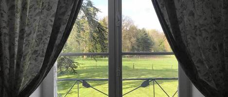 A window with a view of a green field and trees.