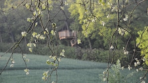 Een tak met groene bladeren op de voorgrond, een houten constructie op de achtergrond, en een begrazend veld.