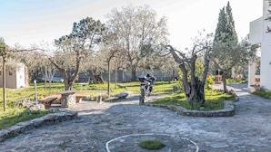 A stone-paved courtyard with a motorcycle parked near a tree, surrounded by greenery and a stone bench.
