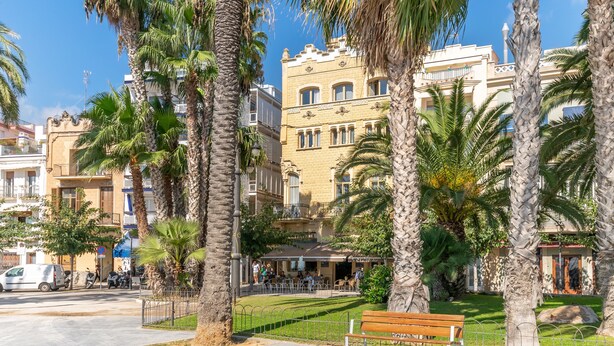 A public square with palm trees, a bench, and a building with balconies.