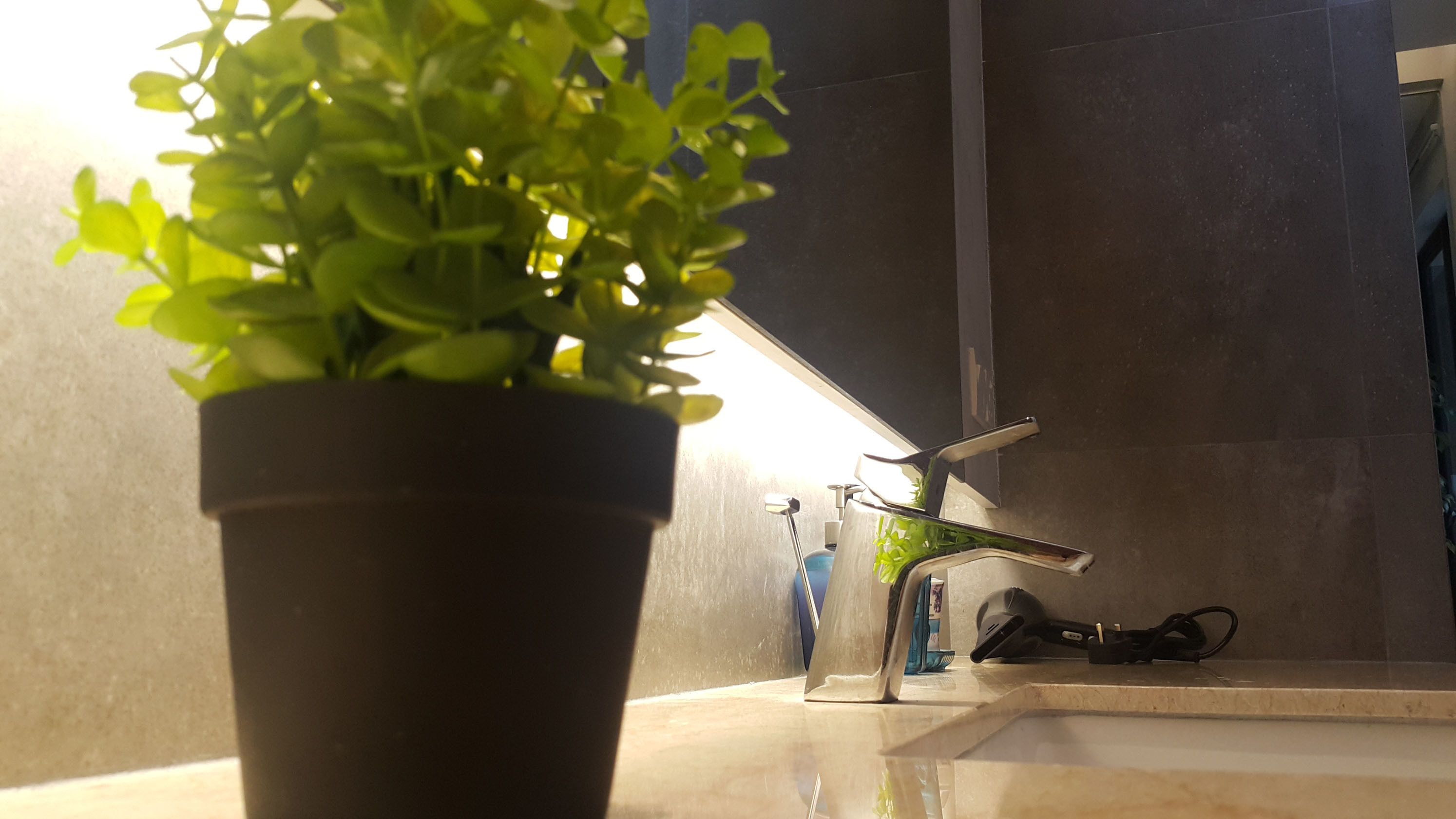 A bathroom with a potted plant, a mirror, and a sink.