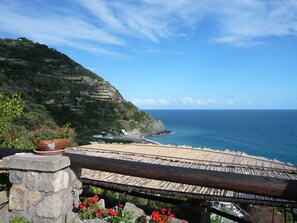 A coastal view with a stone structure, a wooden deck, and a terracotta pot with red flowers. - Casa Antonio (Barano d'Ischia)