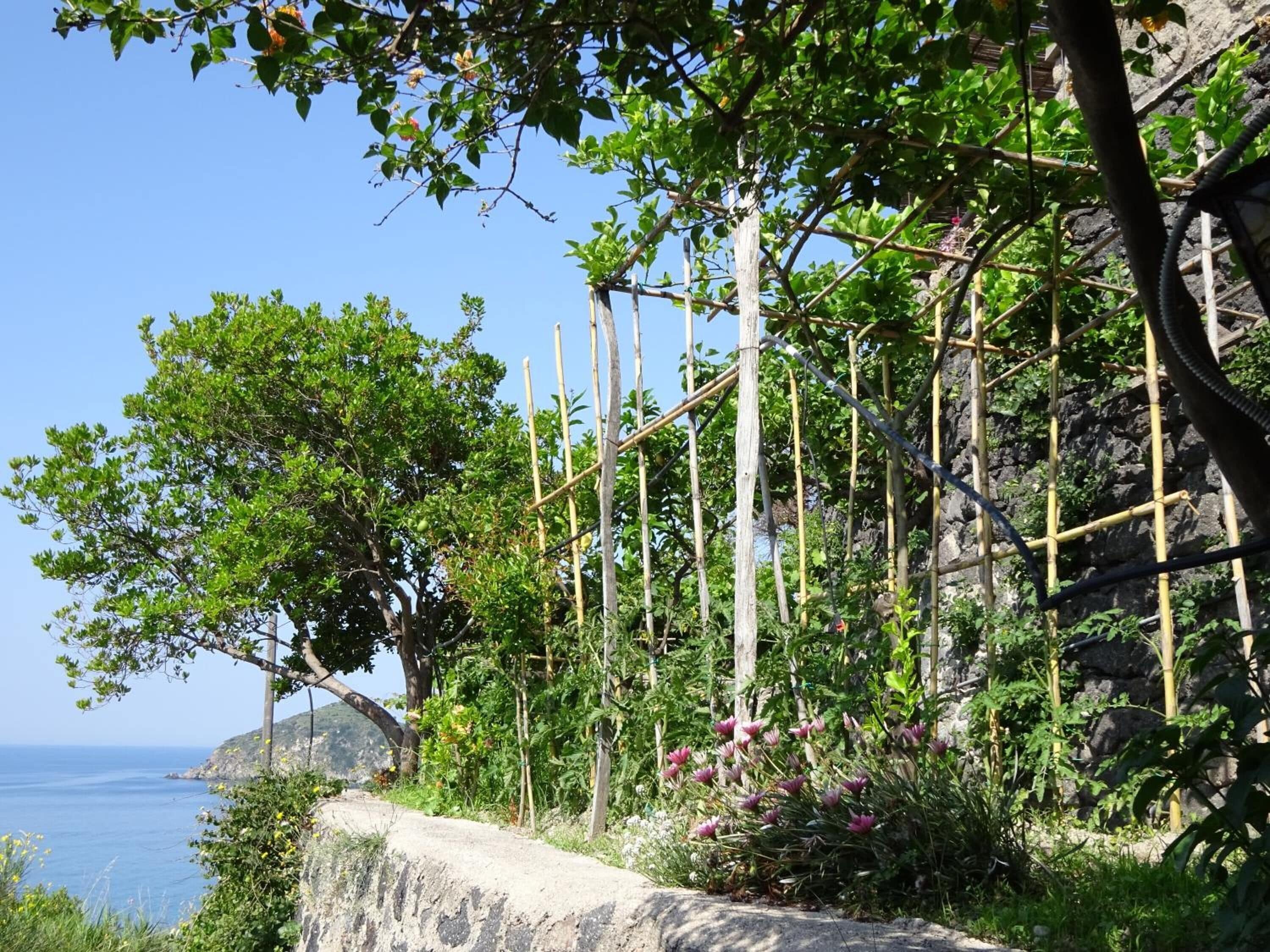 Photo - Casa Antonio
