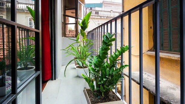 Uma varanda com plantas em vasos, uma cortina vermelha e vista para edifícios vizinhos.