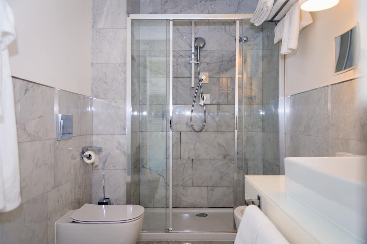 shower, free toiletries, hair dryer, bidet