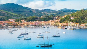 A harbor with numerous boats docked, surrounded by colorful buildings and hills in the background. - Hotel Plaza (Porto Azzurro)