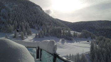 Eine verschneite Berglandschaft mit dichten Wäldern und blauem Himmel.
