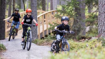 Three people riding bicycles on a forest trail.