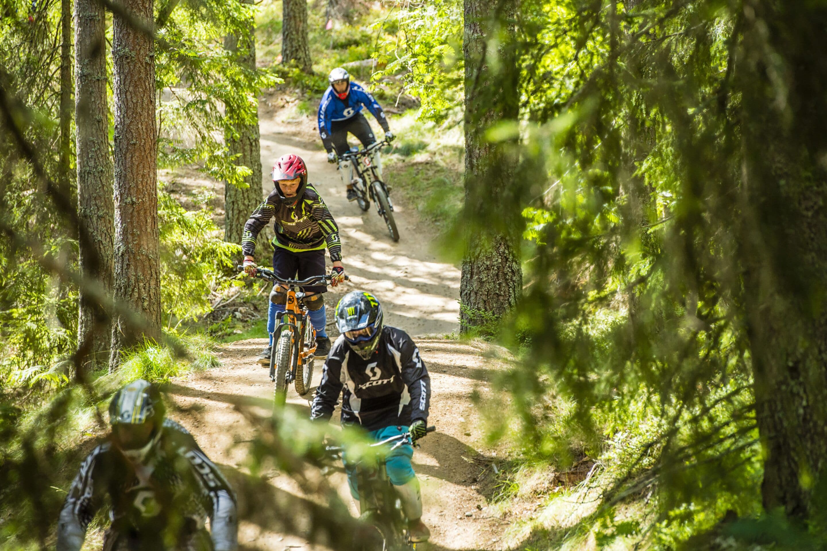 A forested mountain biking trail with multiple riders.